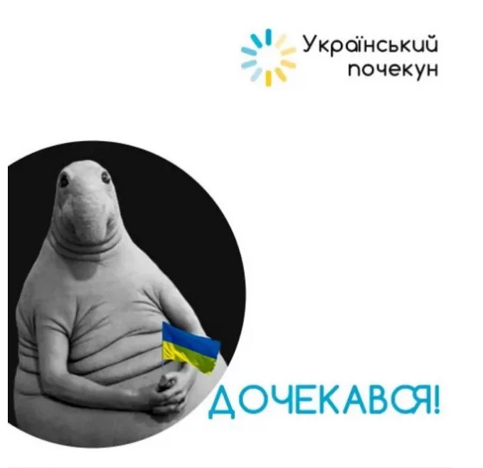 d8hbfc.webp