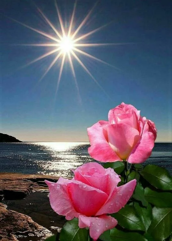 d8hcbb.webp