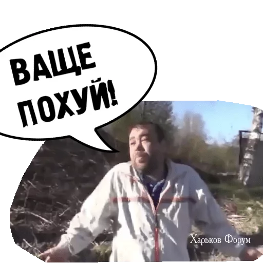 d90141ea499ba303.webp