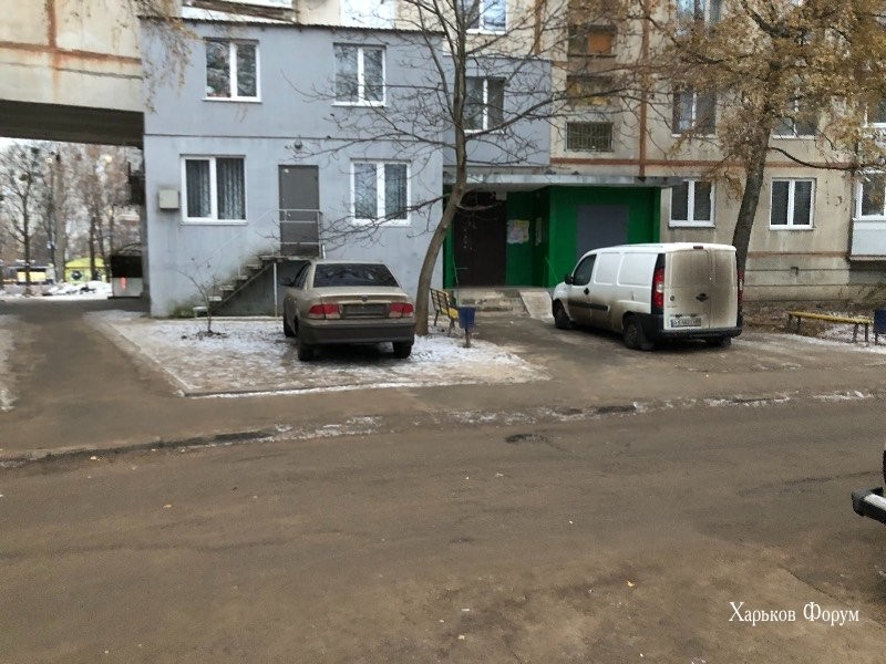 d9119bf3c785c60cd91d.jpg