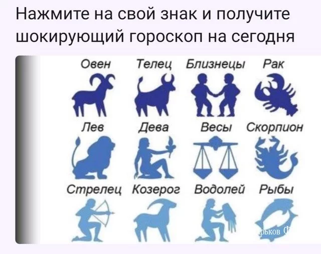 d92168e534a7c0b1cdf8ea2.webp