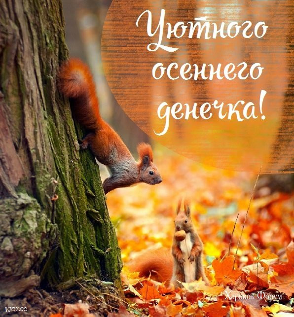 d9518d6ee25d74c470d0063.jpg