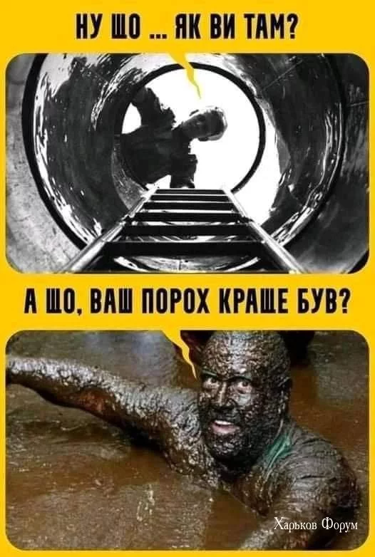 d971b3c7ea75c09ebf.webp