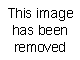 d982e9dd95ebe66efbb4a8da82b18e3c.gif