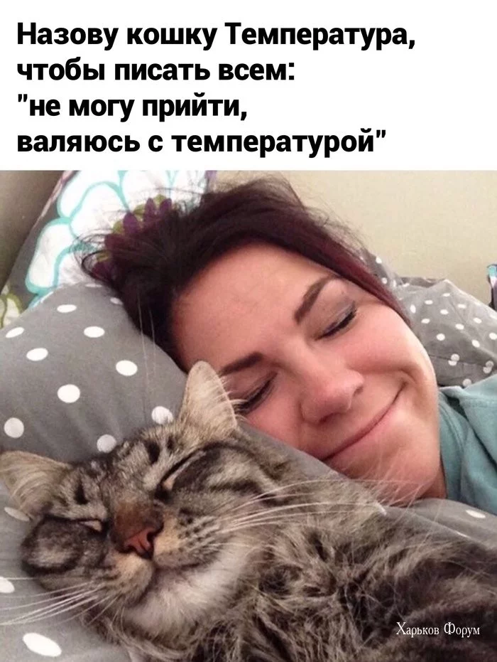 d9929f98327500b8253fb9.webp