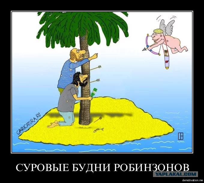 d9adja.webp