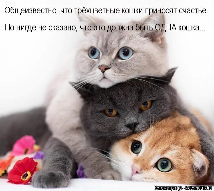 d9bbjb.webp
