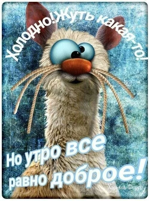 d9c0a7b000058bd925296267.webp