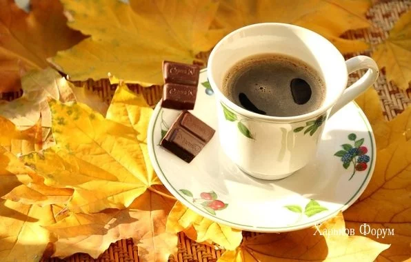 d9c8383a638ac9222996.webp