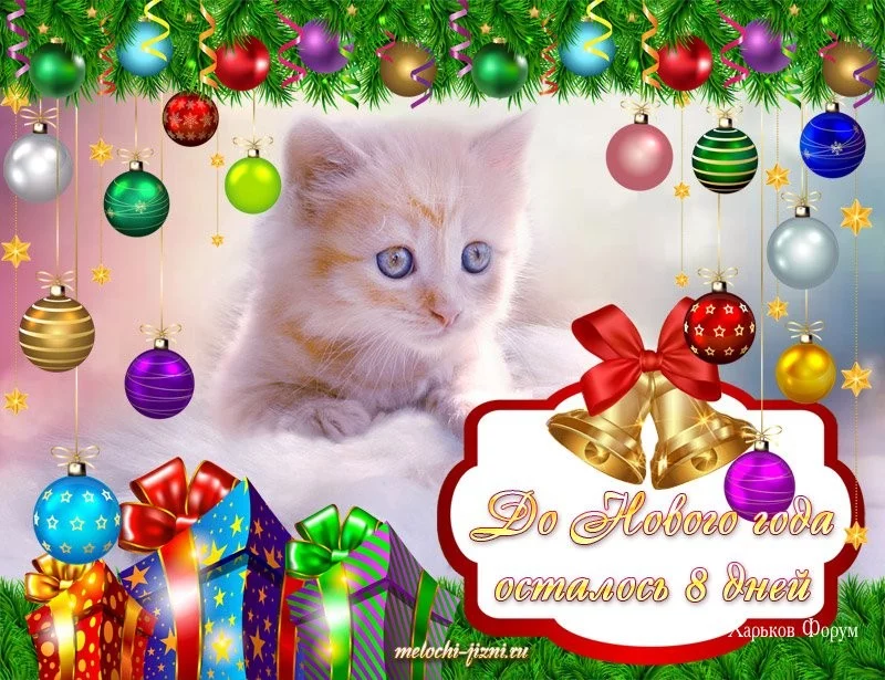 d9cbc31053b230ab60f.webp