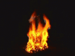 d9dgha.gif