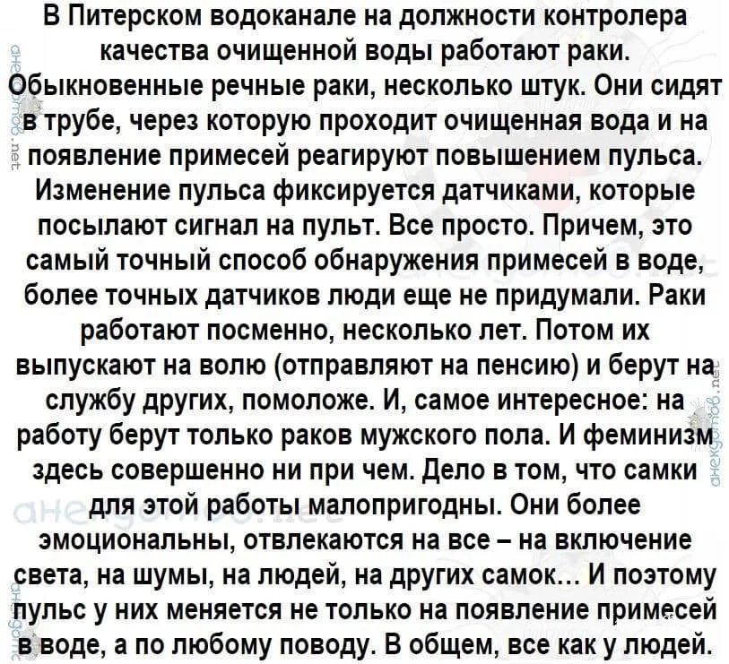 d9e524d061fb249ea83.webp