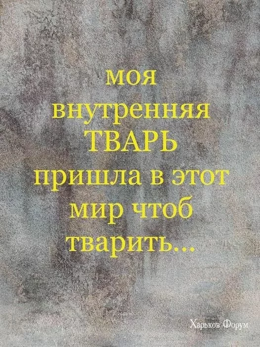 d9e657576103bc759c208.webp