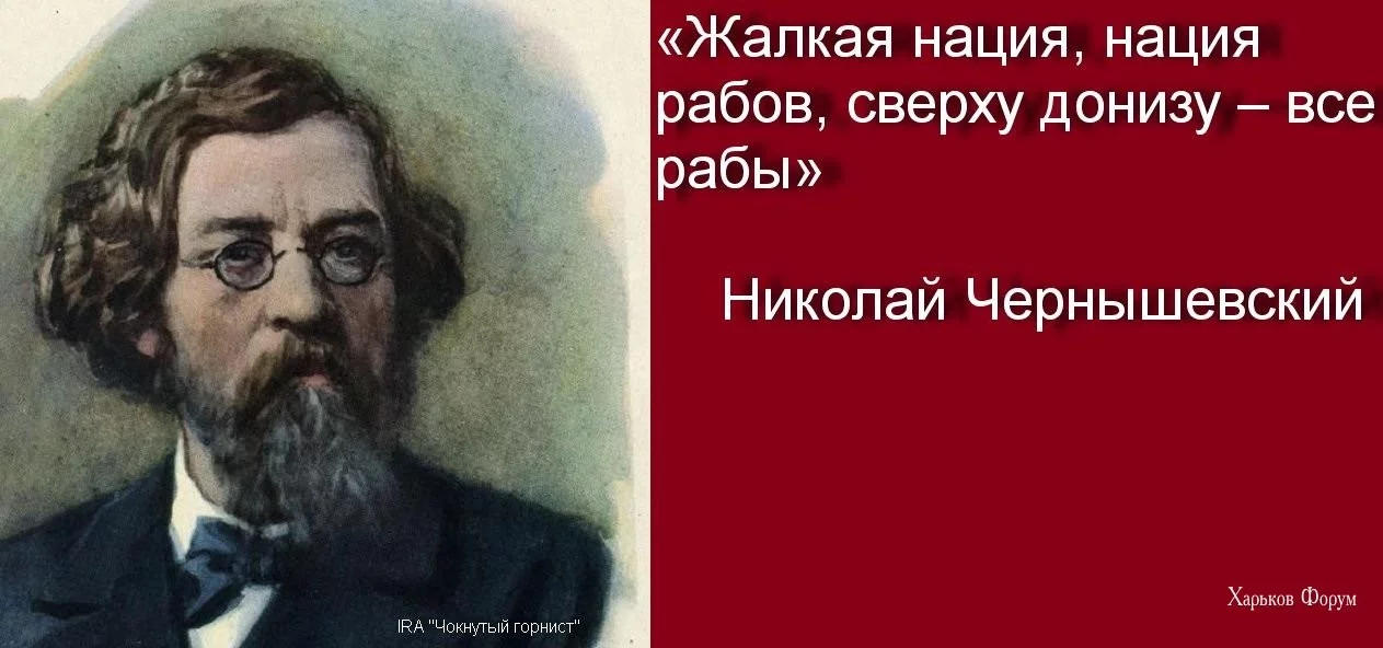 d9ed0830c41ecc8721.webp