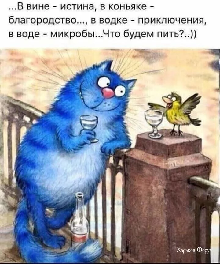 d9fceb121e2f0811.webp