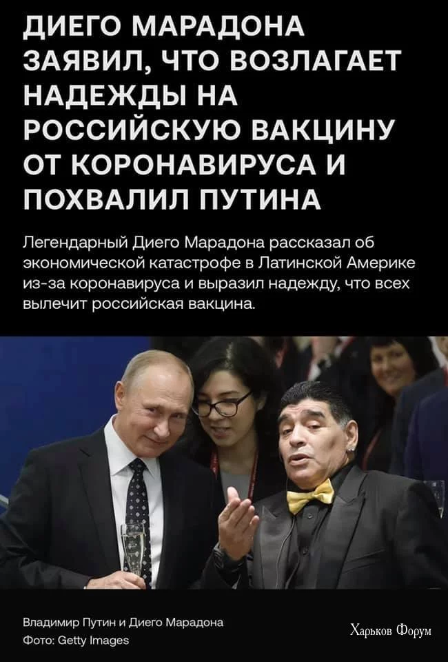da08e0e988f7c209a46ed0.webp