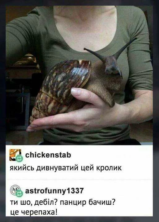 da0djg.webp