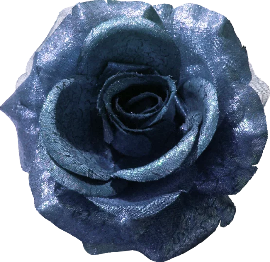 da2e90ec76f5b81b2c365fccf4dc1cae.webp