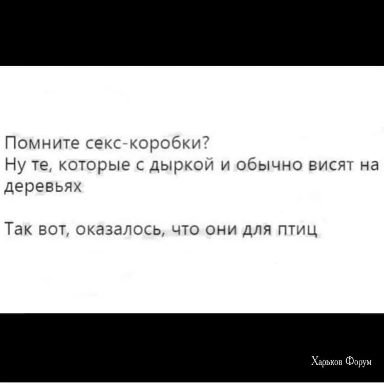 da3e1ae9fdb2313229e.webp