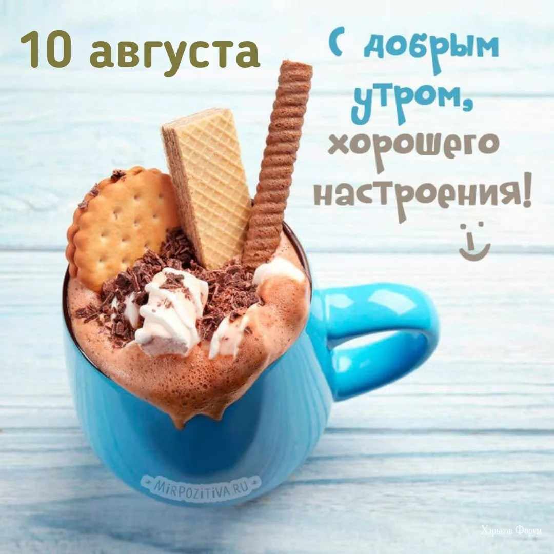 da6b25ab3edd24663edf68e.webp