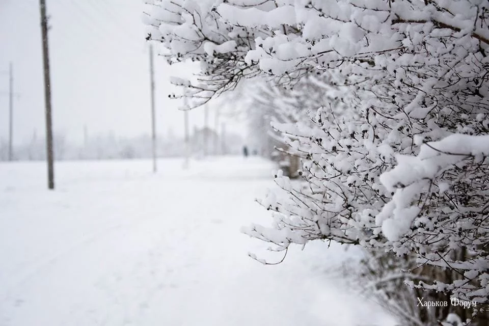 da7c28b7b8ba52910a8.webp