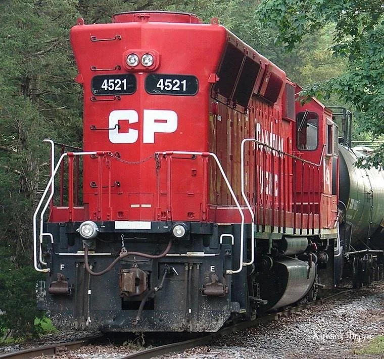da9e140e6443cb5e9a.webp