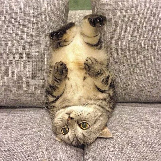 dab8bc.webp