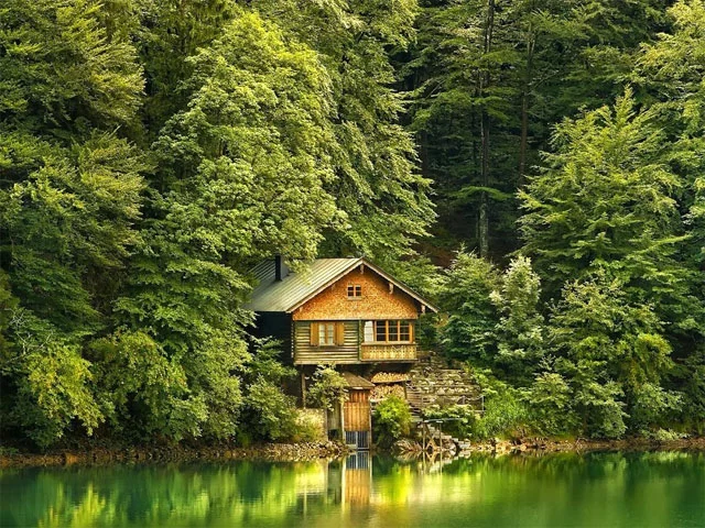 dacha-les.webp