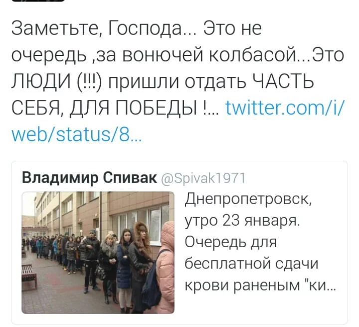 dachb9.webp