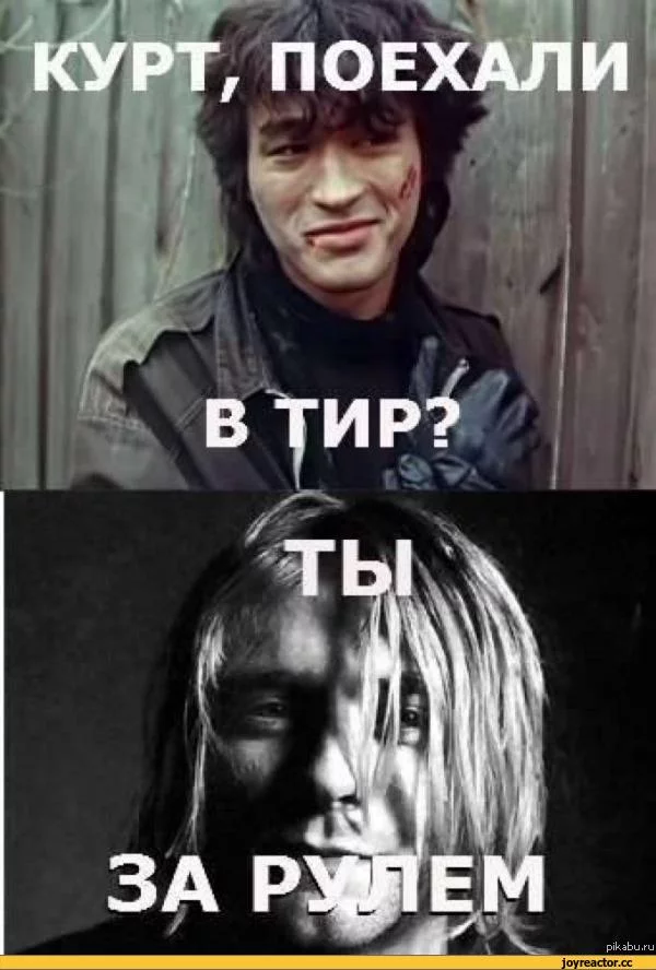 dad9bj.webp