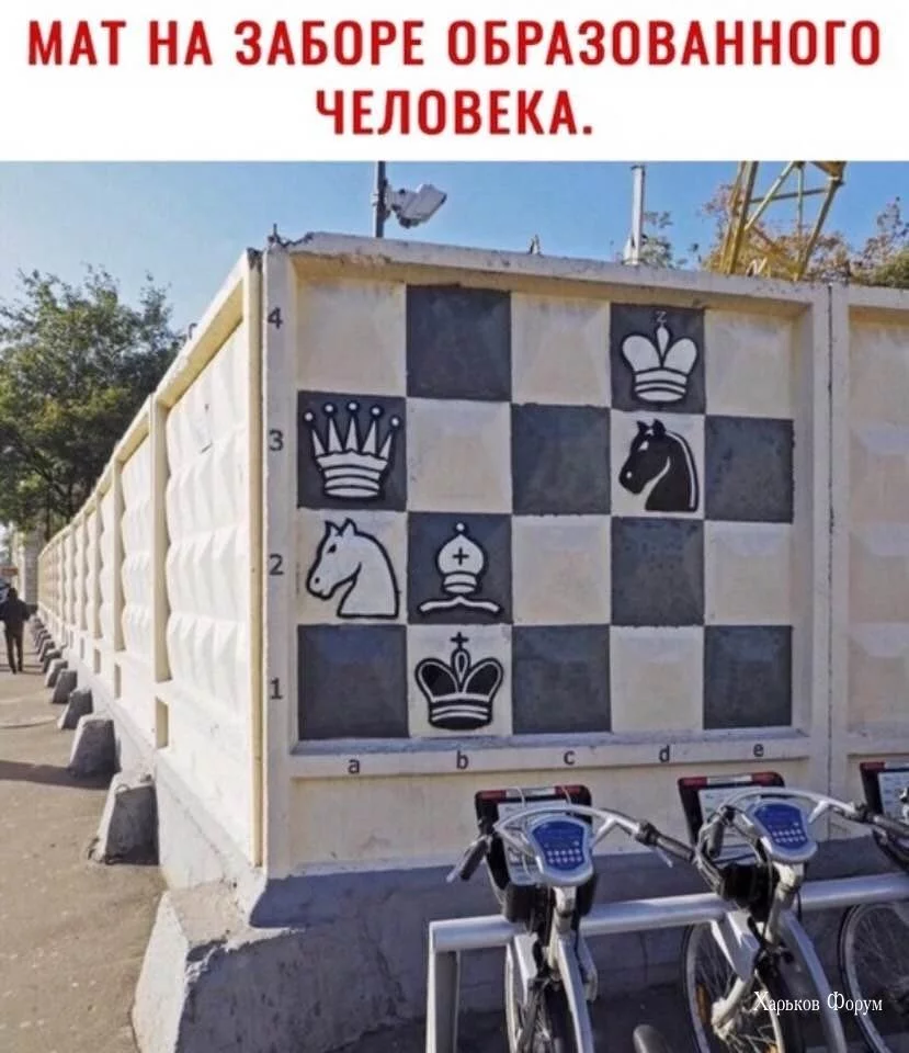 dadec9aef0d99adc7f770391.webp
