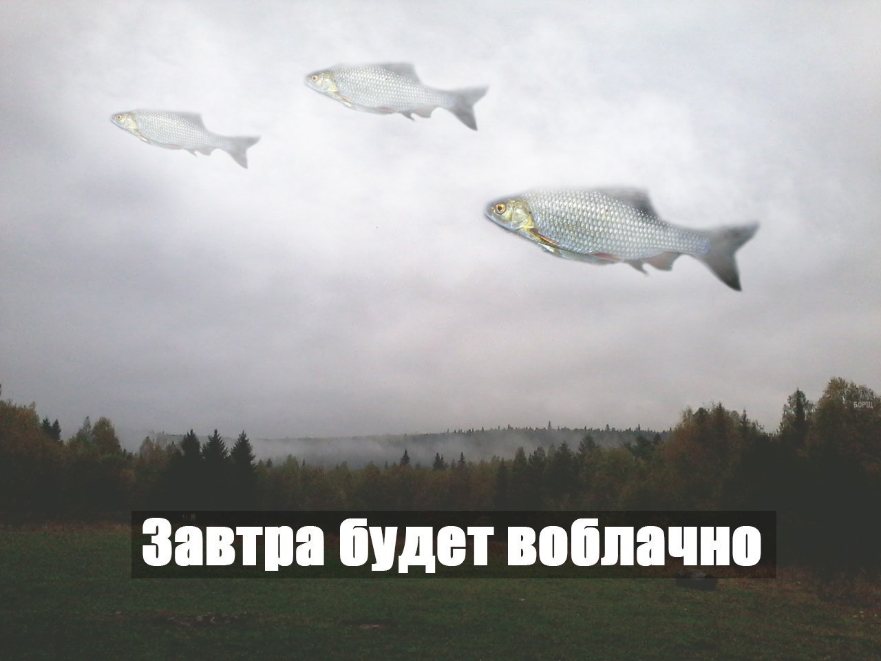 dae1ch.jpg