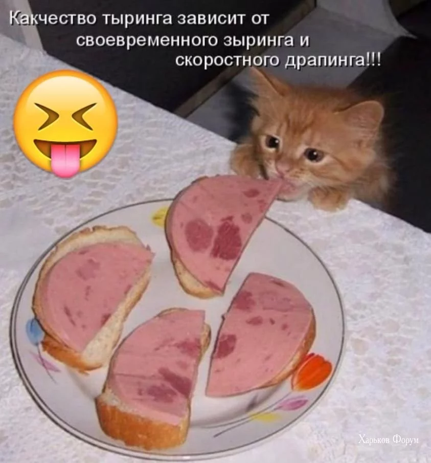 daec3f7e7956f4d068.webp