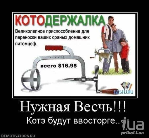 daef6b.webp