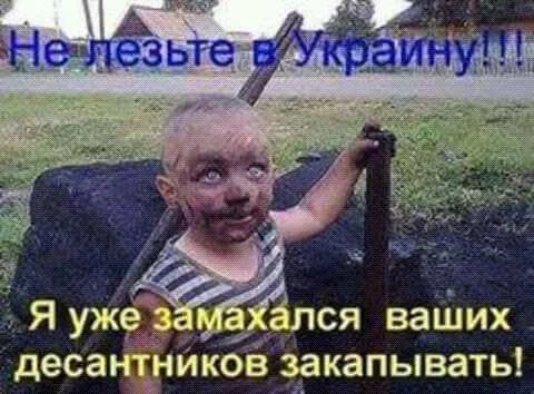 dafah0.webp