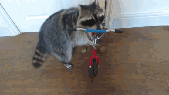 daff7f.gif