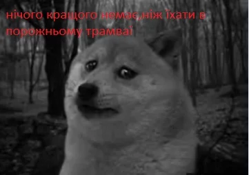 dafj9g.webp