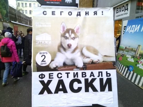 dagbf8.webp
