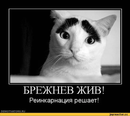 dah8hd.webp