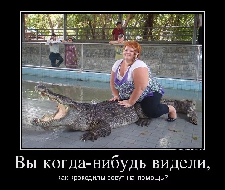daj2hc.webp