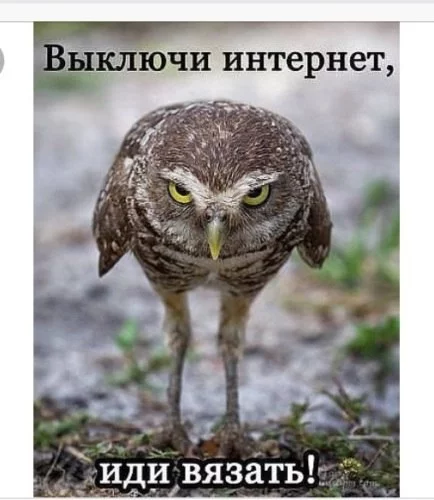 daj6jd.webp