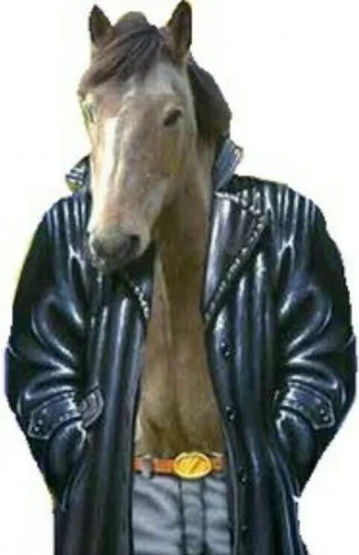 daj8jg.webp