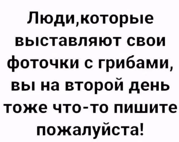 dAmB-blGnA8.webp