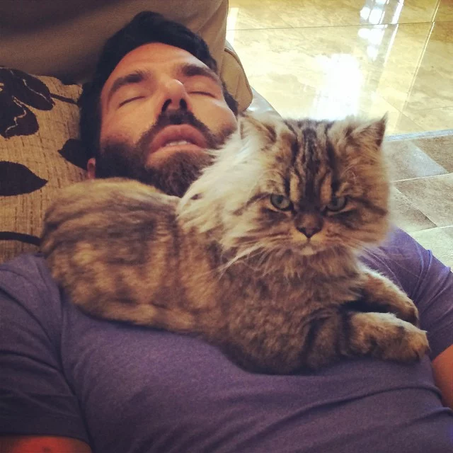 dan-bilzerian.webp