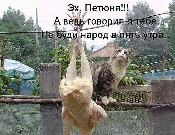 DaPE8zrq51E.webp