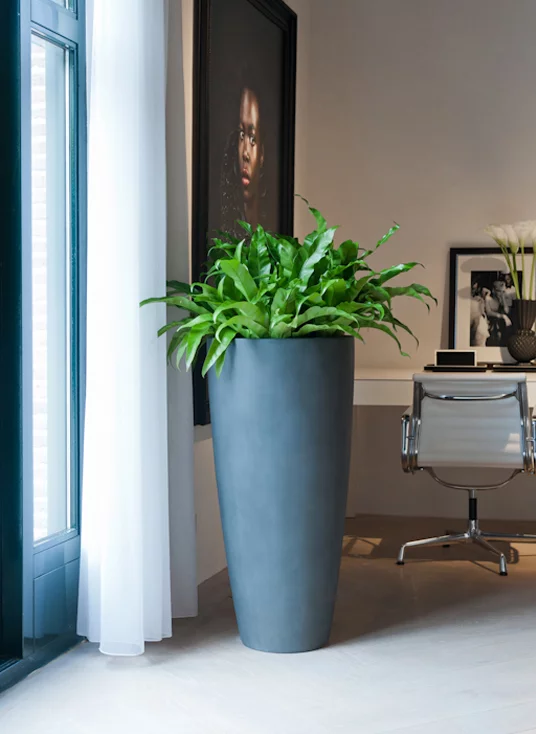 dax_grey_interior.webp