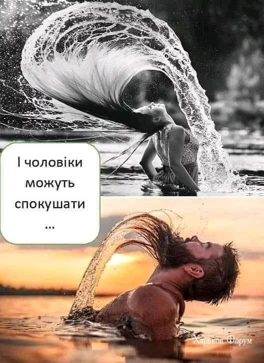 db1d4a2bfef6d813217.webp