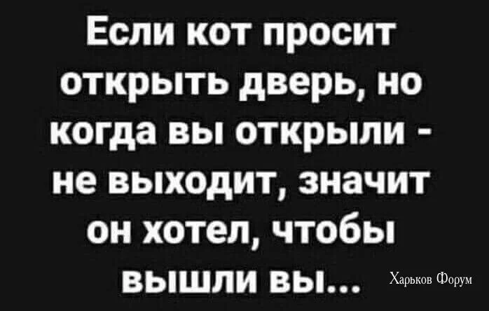 db2a569dcdda232f4170.webp