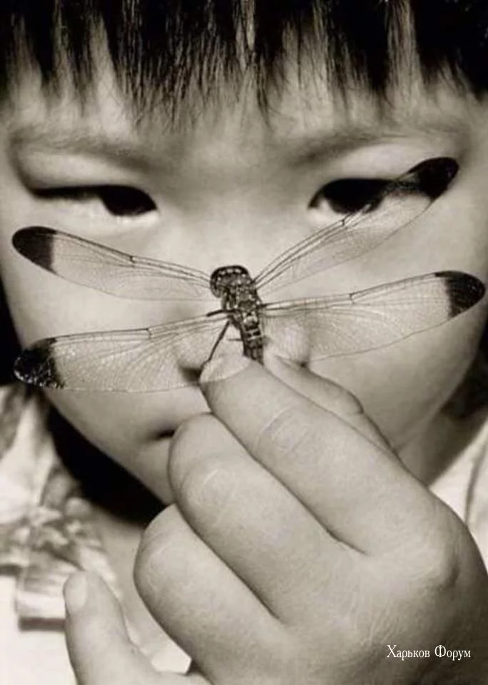 db3679d5823ec7f3a21e195.webp