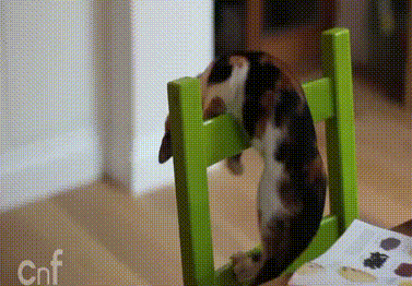 db39eaece04a044575.gif